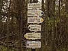 DSC06012.jpg